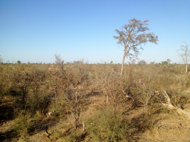 Botswana 050